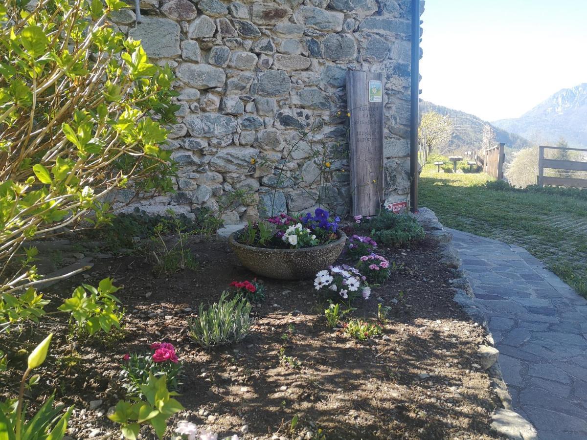 Agritur Maso Gosserhof Frassilongo Luaran gambar
