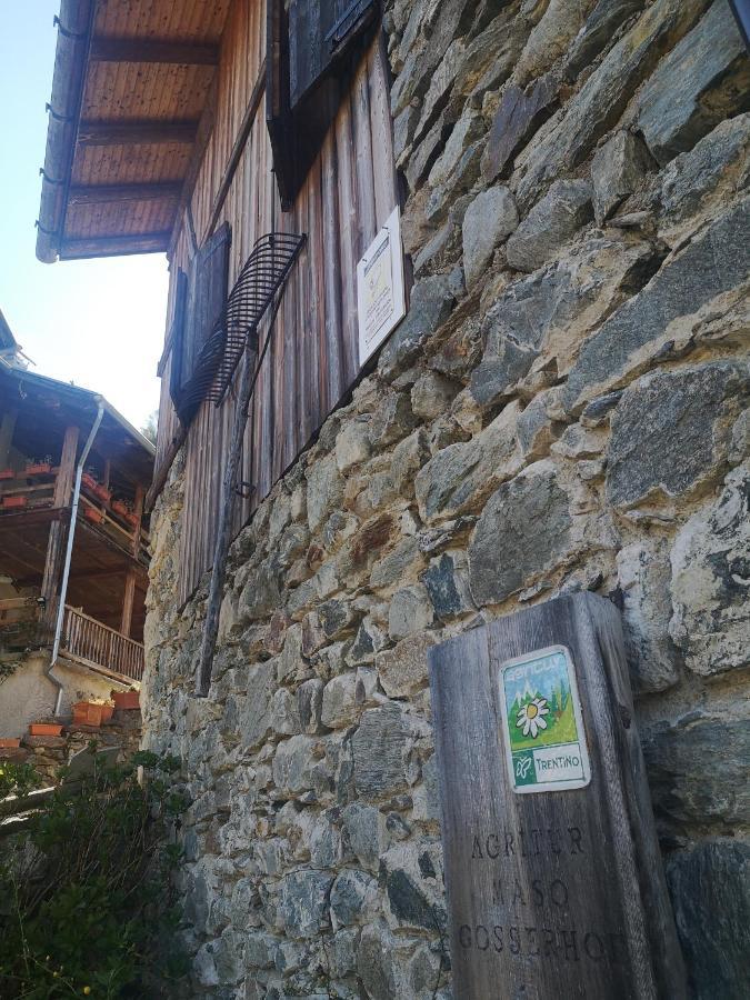 Agritur Maso Gosserhof Frassilongo Luaran gambar
